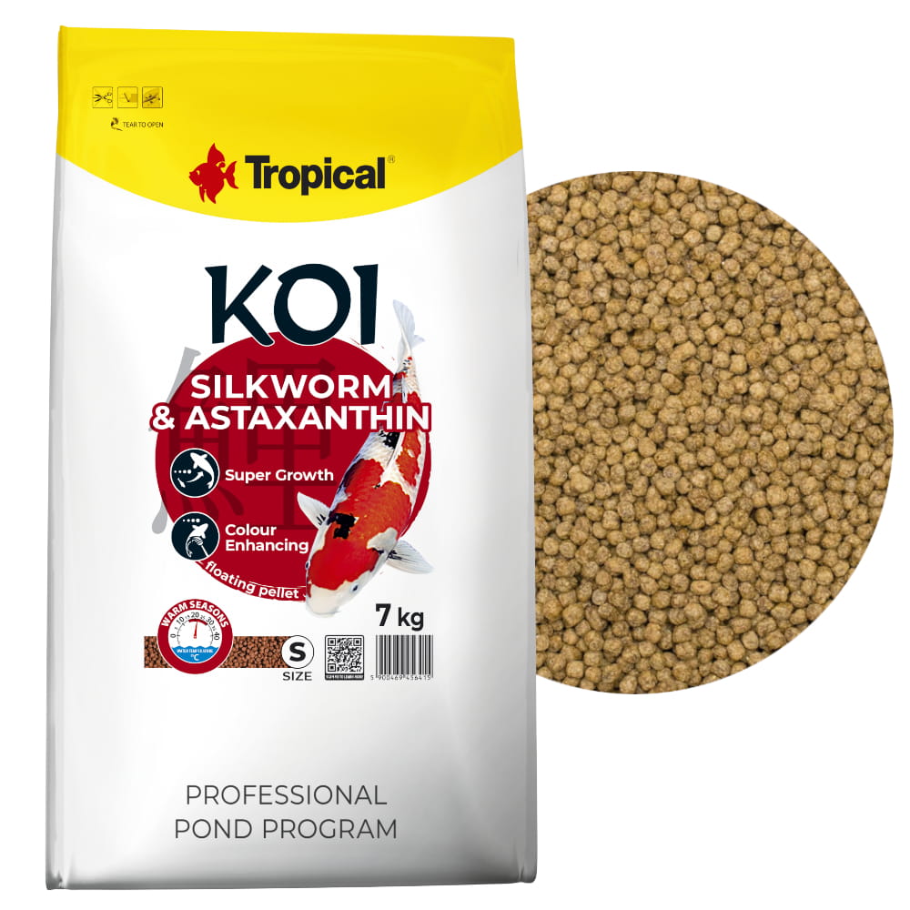 KOI silkworm S 71.jpg